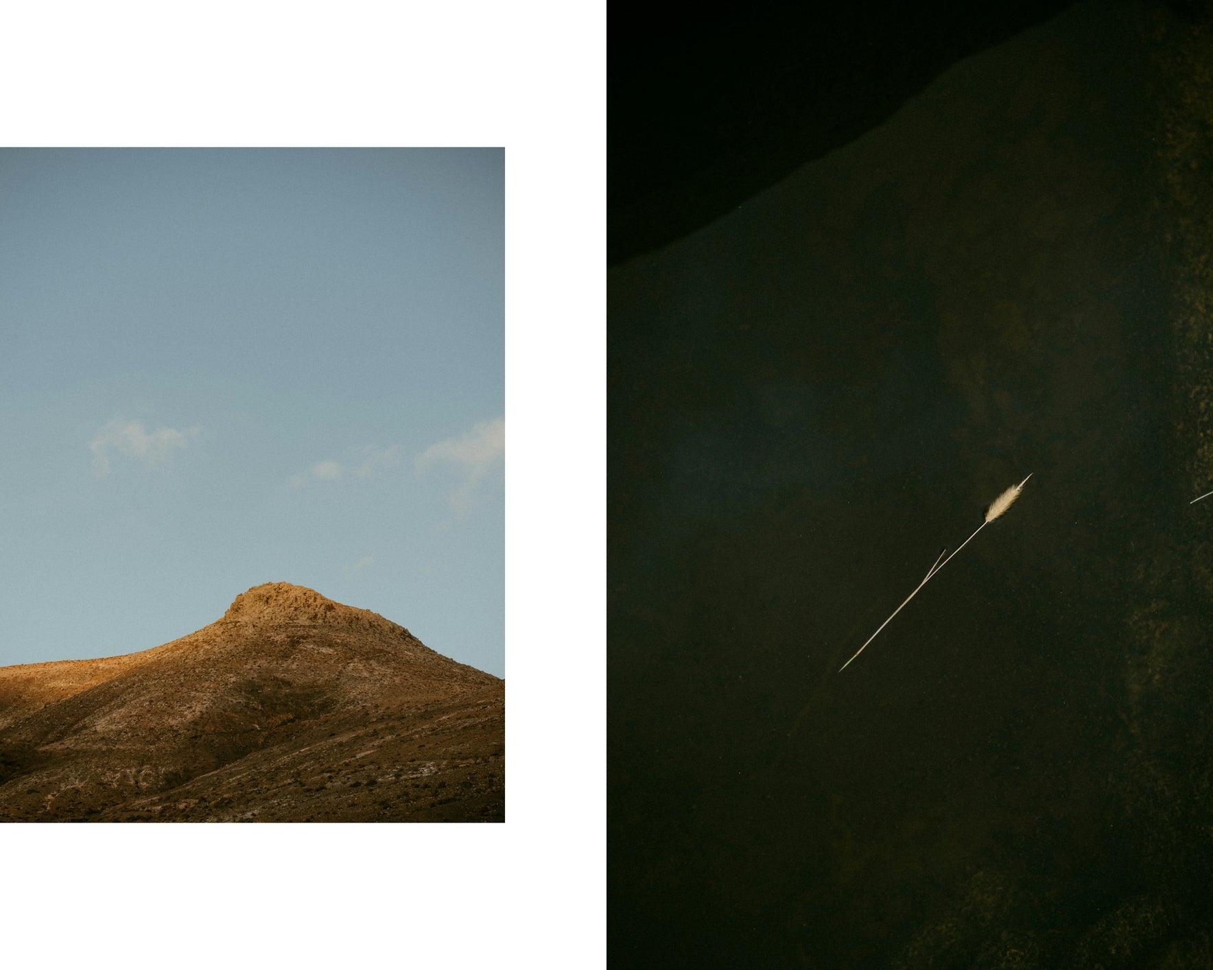 A split image; on the left, a hill with golden-brown tones is illuminated under a clear blue sky. On the right, a dark, murky body of water features a single floating white feather.