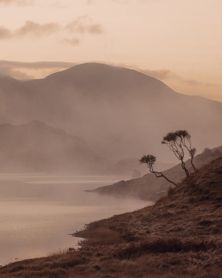 A peaceful lake scene at dusk, with misty hills and a solitary, windswept tree silhouetted against a soft pink and orange sky.