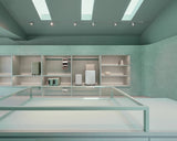 Modern interior with glass display case and shelves against a light green wall.